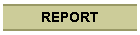 ACCIDENT REPORT